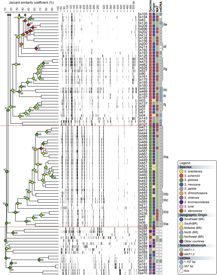 Fig. 2