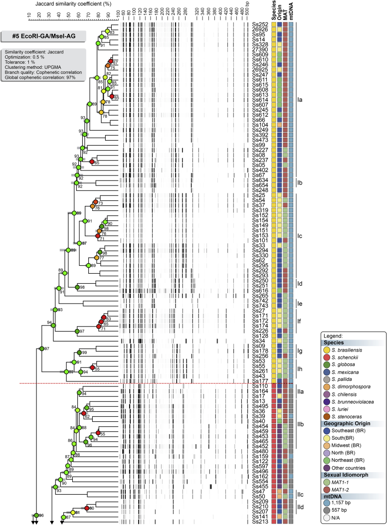 Fig. 2