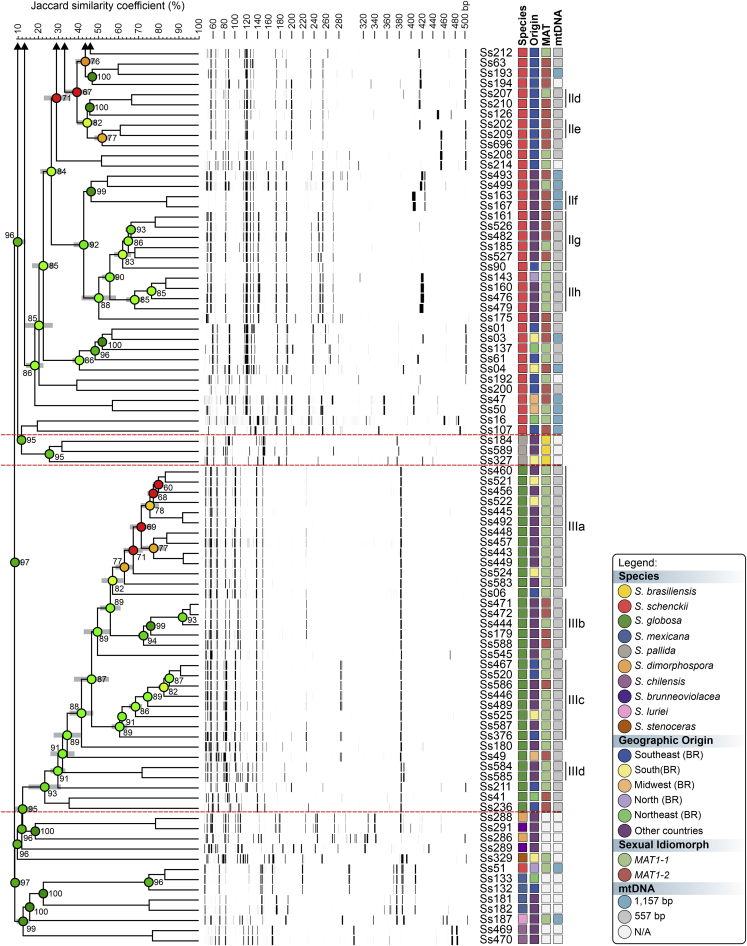 Fig. 3