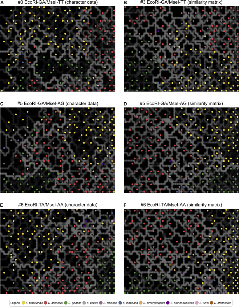 Fig. 10