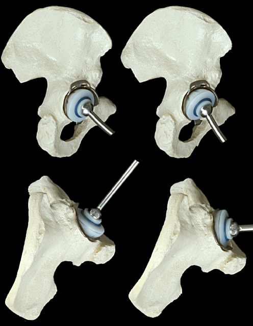 Fig. 1