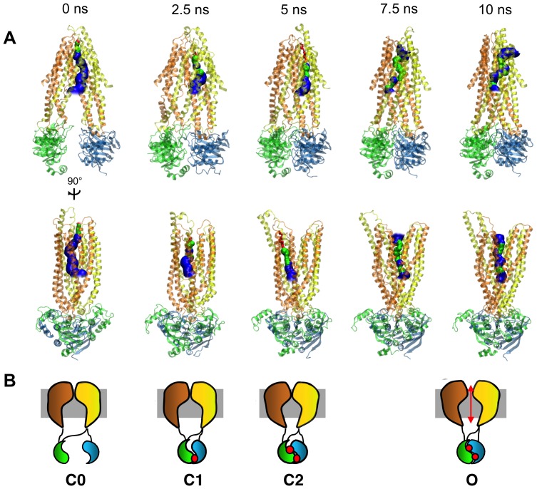 Figure 4