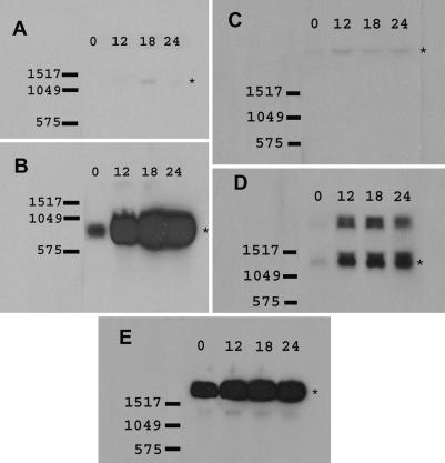 FIG. 5.