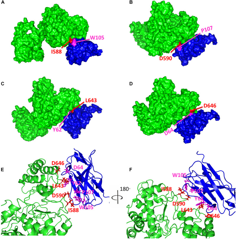 FIGURE 4