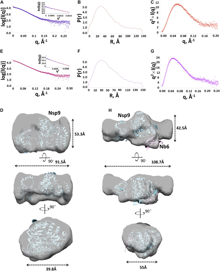 FIGURE 3