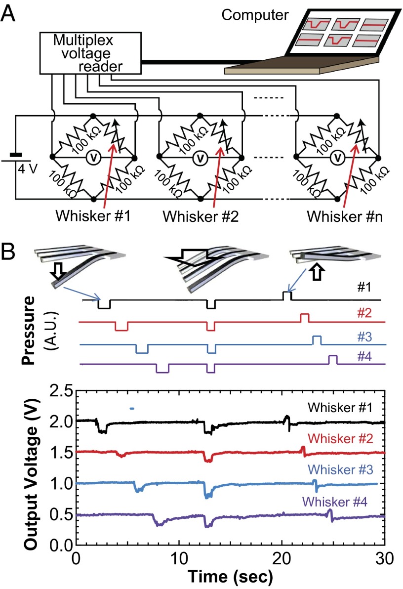 Fig. 4.