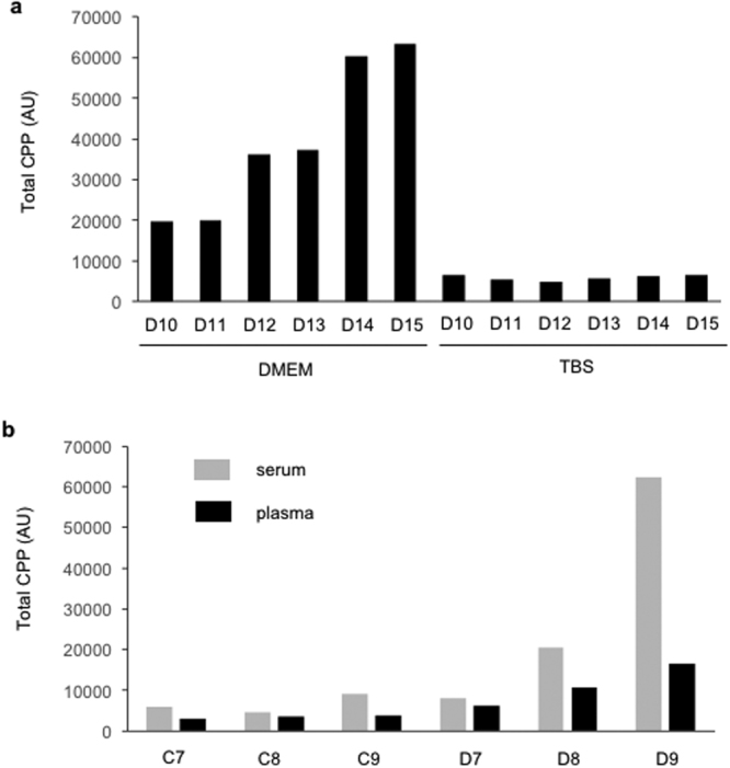 Figure 6