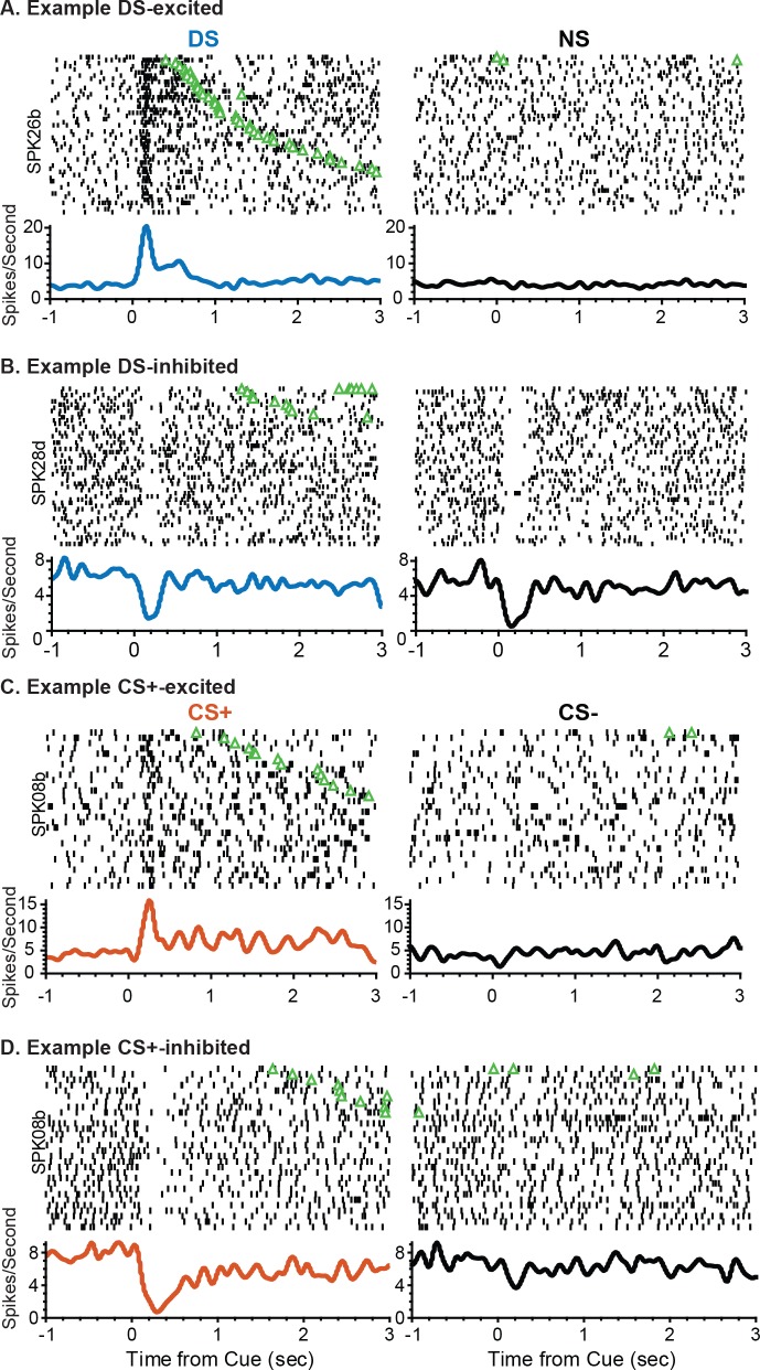 Figure 2—figure supplement 1.