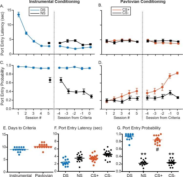 Figure 6—figure supplement 1.