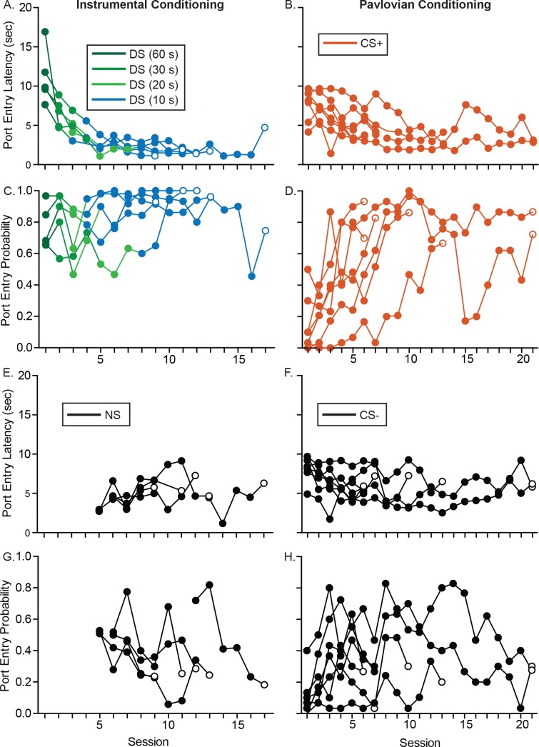 Figure 1—figure supplement 1.