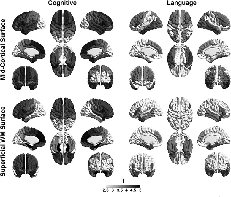 Fig. 5