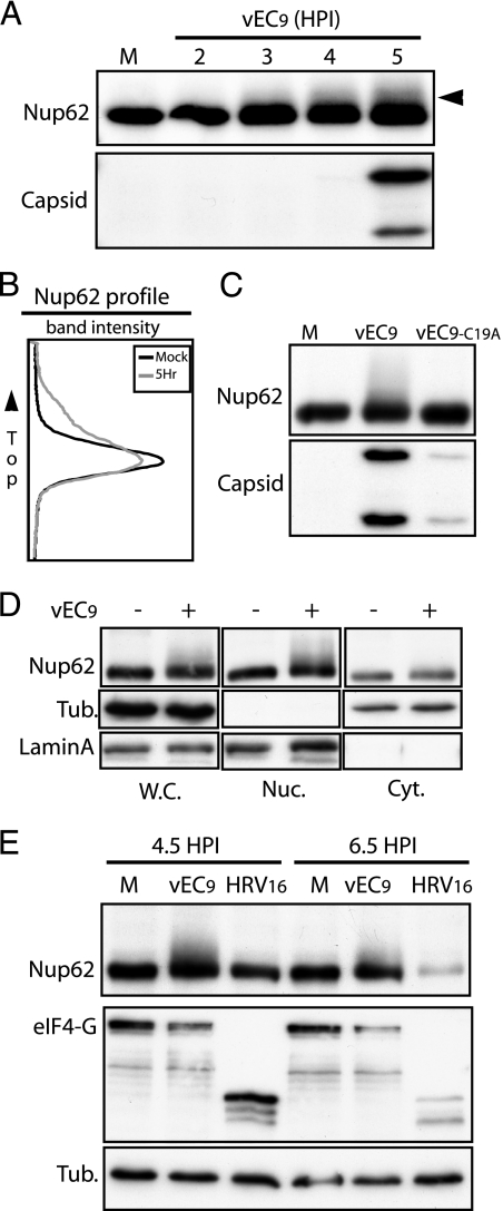 FIG. 5.