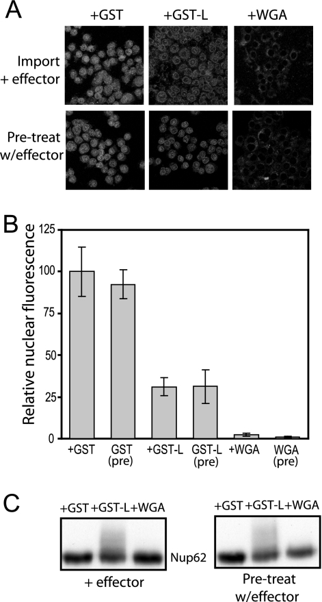 FIG. 8.