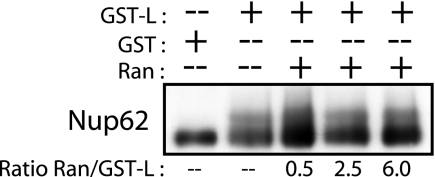 FIG. 10.