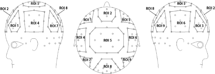 Fig. 1