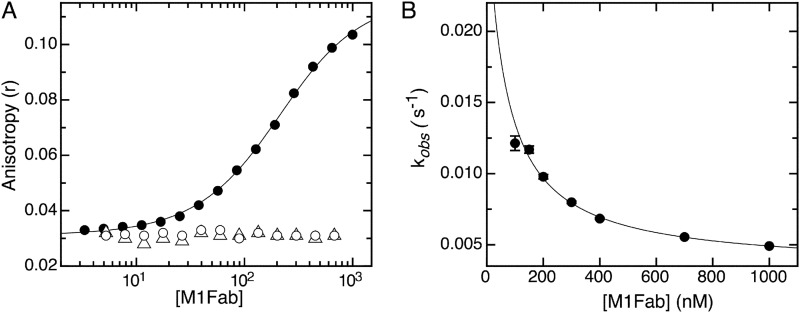 FIGURE 8.