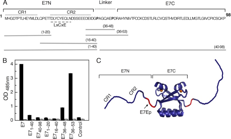 FIGURE 1.