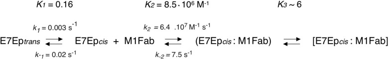 SCHEME 1.