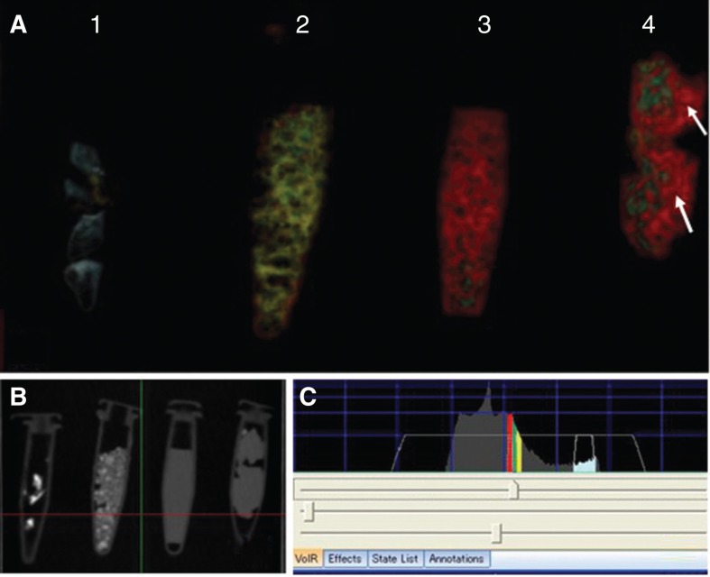 Figure 1.