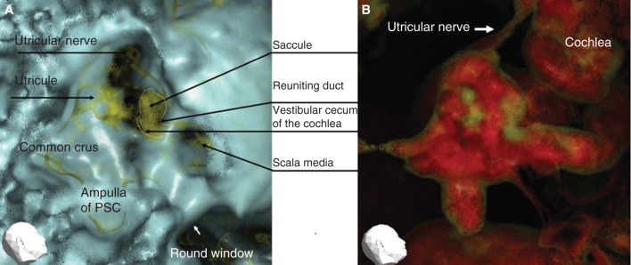 Figure 3.