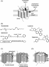 Fig. 5