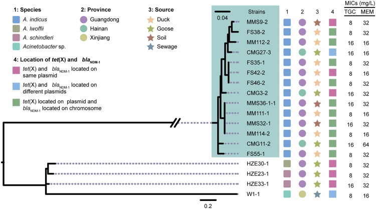 FIG 2