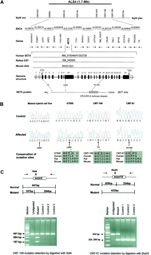 Figure  1