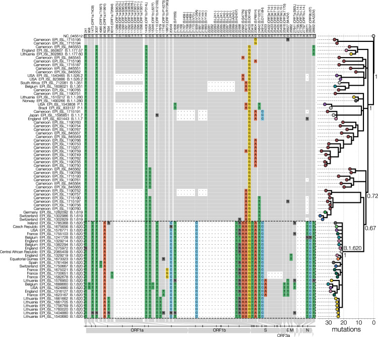 Fig. 1