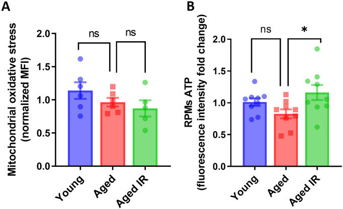 Figure 5—figure supplement 1.