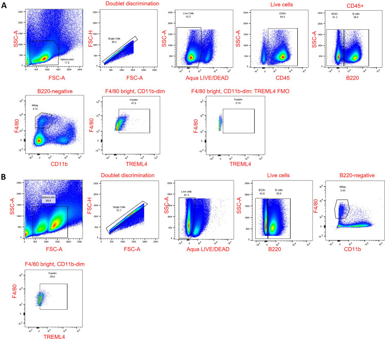 Figure 1—figure supplement 2.