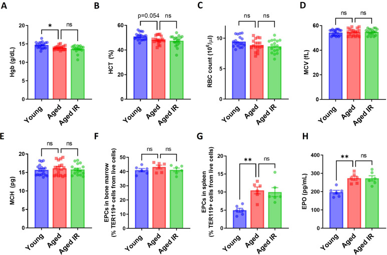 Figure 1—figure supplement 5.