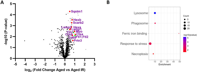 Figure 3—figure supplement 2.