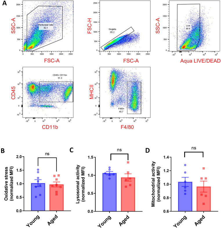 Figure 1—figure supplement 4.