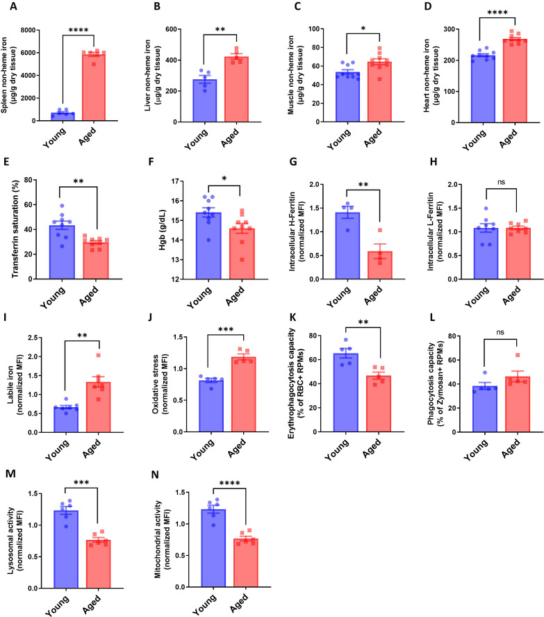 Figure 1—figure supplement 1.