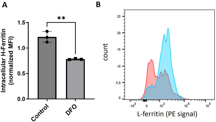 Figure 1—figure supplement 3.