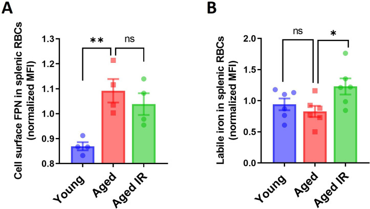 Figure 2—figure supplement 2.