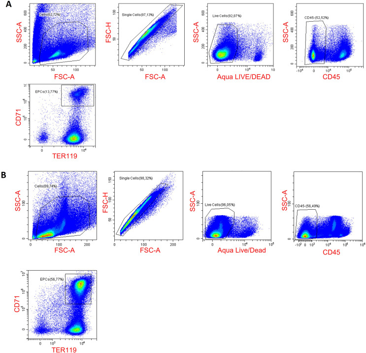 Figure 1—figure supplement 6.