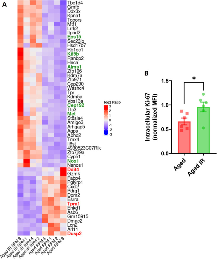 Figure 1—figure supplement 8.