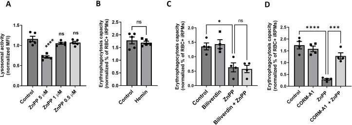 Figure 6—figure supplement 4.