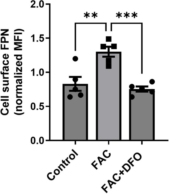 Figure 1—figure supplement 7.