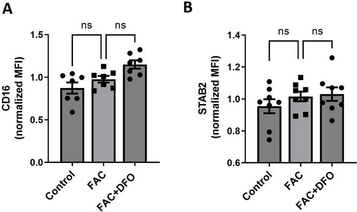 Figure 6—figure supplement 2.