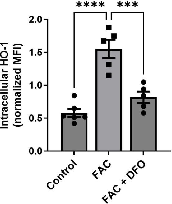 Figure 6—figure supplement 3.