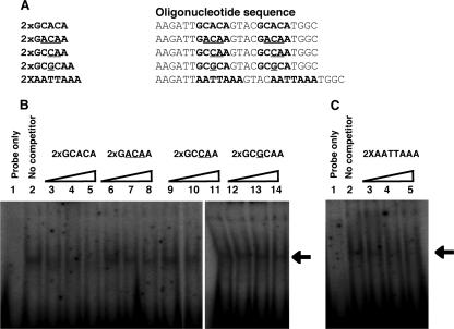 FIG. 6.