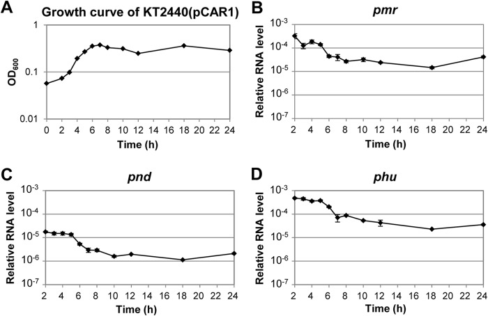 FIG 2