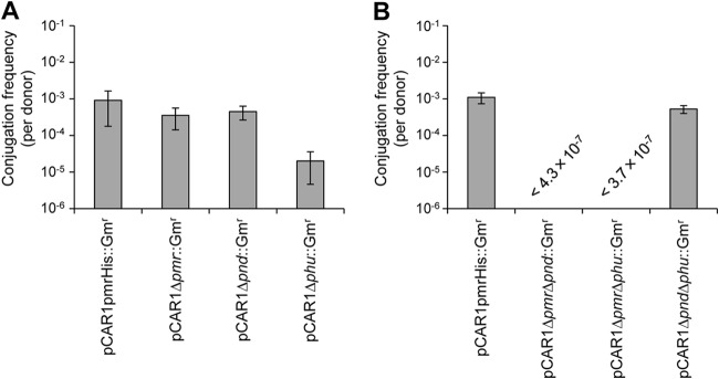 FIG 4