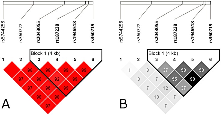 Fig 1