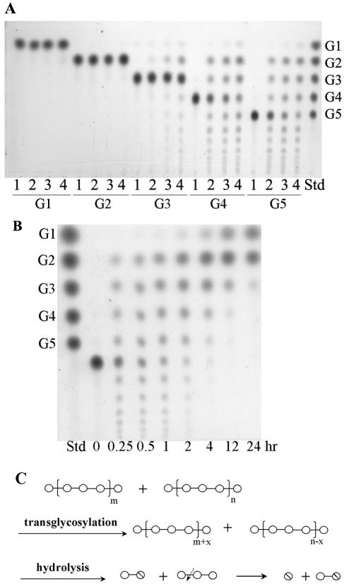 FIG. 6.