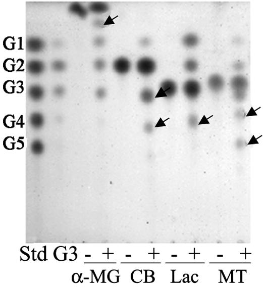 FIG. 7.