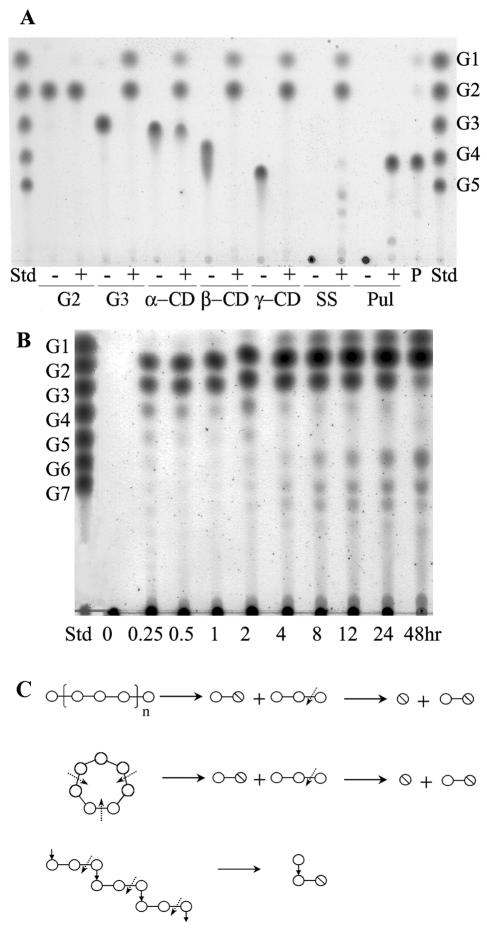 FIG. 5.