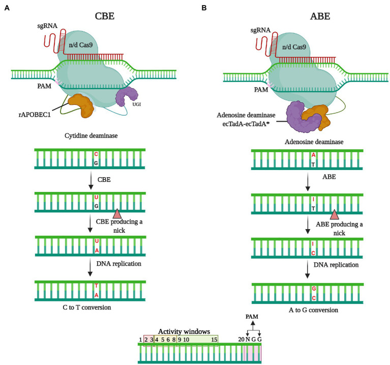 Figure 4